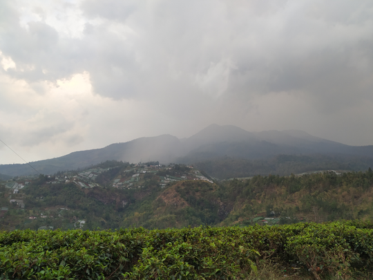 CATATAN PERJALANAN SOLO HIKING GUNUNG LAWU VIA CETHO (9-10 NOVEMBER 2019)