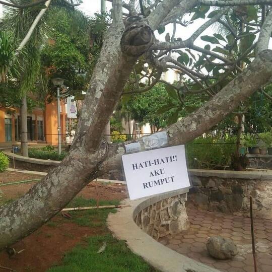 Salah Tempat Pasang Spanduk Bikin Ngukuk, No 4 dan 6 Nganu Banget Gan!