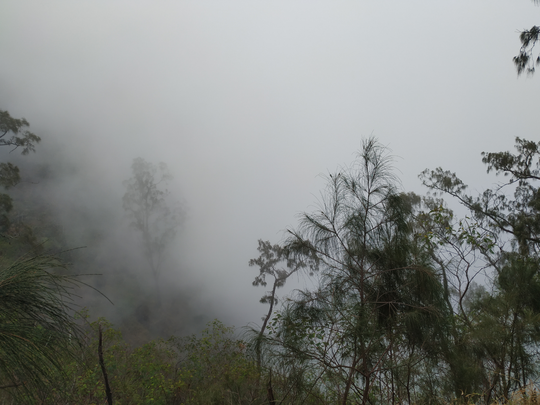 CATATAN PERJALANAN SOLO HIKING GUNUNG LAWU VIA CETHO (9-10 NOVEMBER 2019)