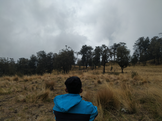 CATATAN PERJALANAN SOLO HIKING GUNUNG LAWU VIA CETHO (9-10 NOVEMBER 2019)