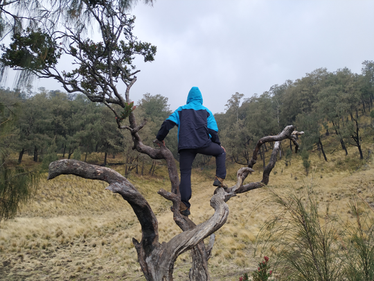 CATATAN PERJALANAN SOLO HIKING GUNUNG LAWU VIA CETHO (9-10 NOVEMBER 2019)