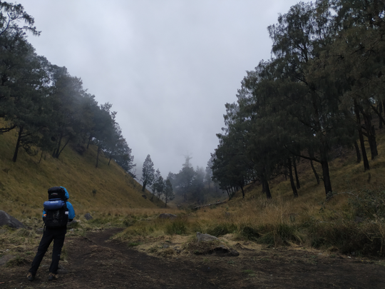 CATATAN PERJALANAN SOLO HIKING GUNUNG LAWU VIA CETHO (9-10 NOVEMBER 2019)