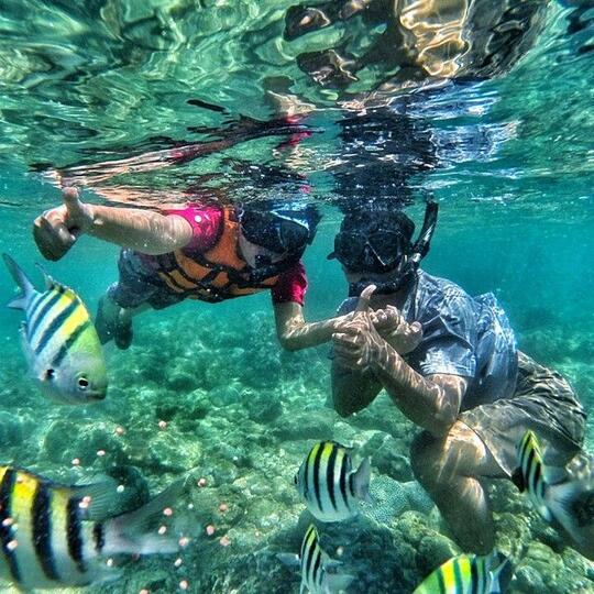 Nggak Kalah Dengan Bali & Lombok, Ini Dia 4 Spot Snorkeling Keren di Jogja