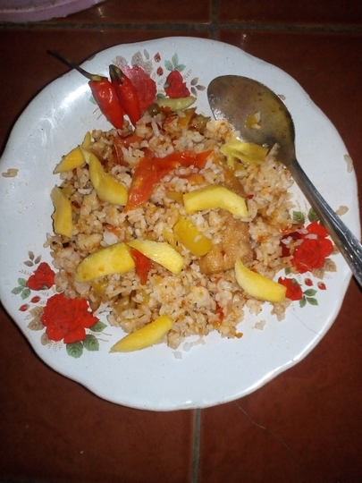 Manfaatkan Nasi Sisa, Dibuang Sayang, Dilempar Kasian, Ingat Program Zero Food Waste!