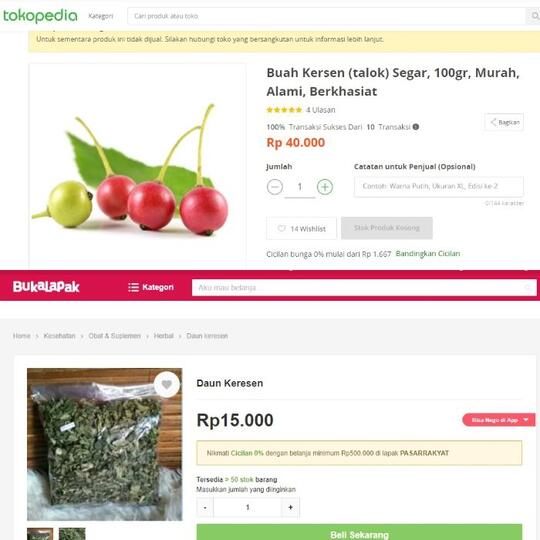 Ada Yang Belum Tau Buah Ini ? Yup, Kersen. Inilah Asal Muasal Dan Manfaatnya