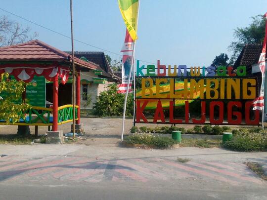 Kebun Belimbing Dempel, Ngawi. Bisa Mendatangkan Ide Baru