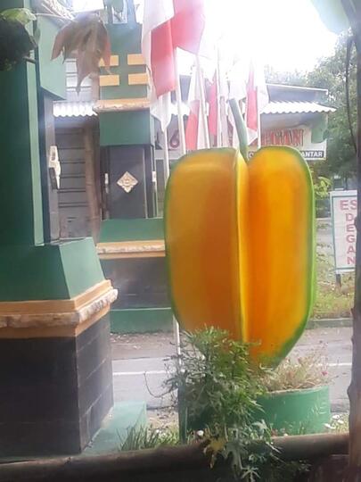 Kebun Belimbing Dempel, Ngawi. Bisa Mendatangkan Ide Baru