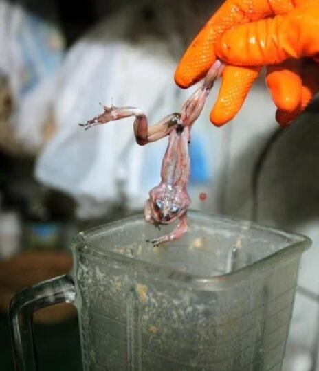 Bahan Campuran Minuman Ini, Bikin Merinding Disco! Berani coba?