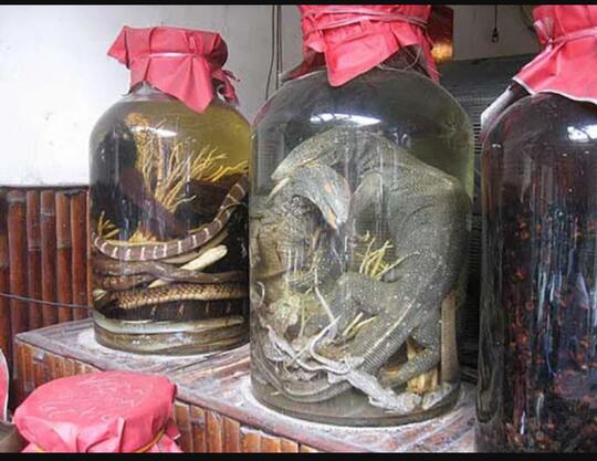 Bahan Campuran Minuman Ini, Bikin Merinding Disco! Berani coba?