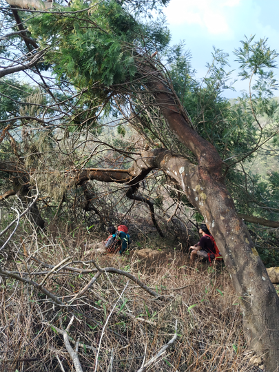 SABANANYA FANTASTIS - PENDAKIAN GUNUNG SUMBING VIA BOWONGSO 23-24 NOVEMBER 2019