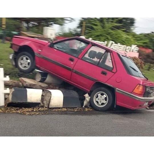 Kucing Milenial, Gayanya Bikin Gregetan, Yang Gak Suka Kucing Jangan Lihat Ya!