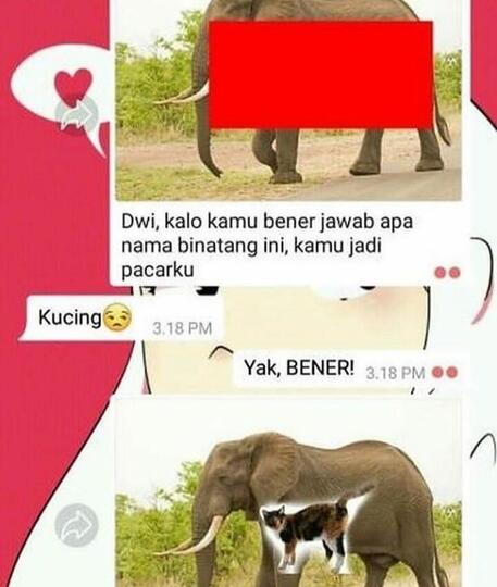 Chat WA Paling Ngakak dan Nyesek, Nasib Punya Pacar Gamer dan Pacar Jutek