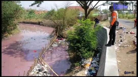 Air Sungai di Cirebon Ini Berubah Warna Menjadi Pink! Apa Penyebabnya Ya?