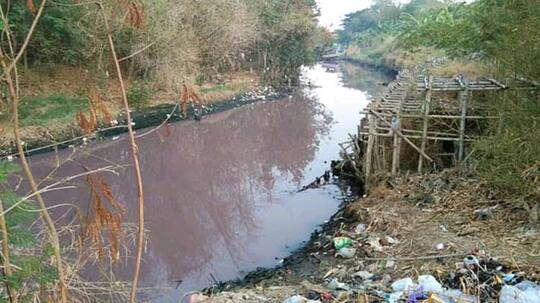 Air Sungai di Cirebon Ini Berubah Warna Menjadi Pink! Apa Penyebabnya Ya?