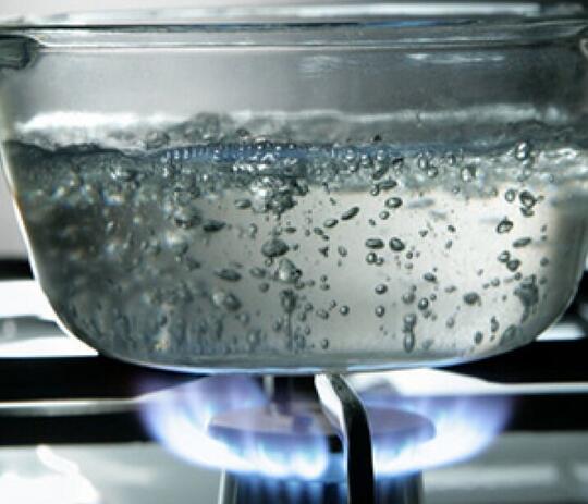Gansis Suka Masak Sayur? Pakai Bahan Ini Agar Tumisan Tetap Hijau Cantik Tapi Empuk!