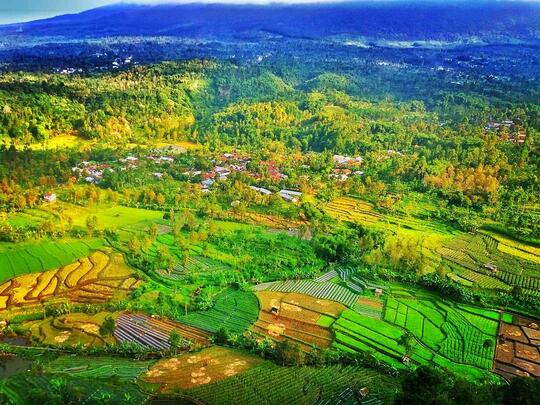 Intip Yuk Wisata Alam Bukit Kukusan Di Pemalang Jawa Tengah