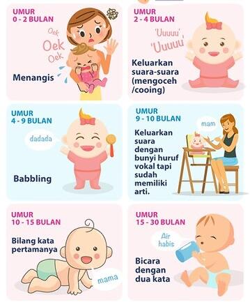 1000 hari pertama, Waktu yang sangat Penting dalam Keseluruhan Hidup