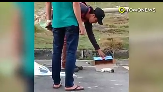 Niat Baik Nolong Anak Anjing Malah Dikejar Induknya, Dasar Gak Tahu Terima Kasih!