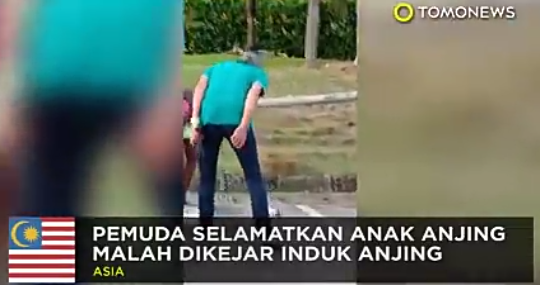 Niat Baik Nolong Anak Anjing Malah Dikejar Induknya, Dasar Gak Tahu Terima Kasih!