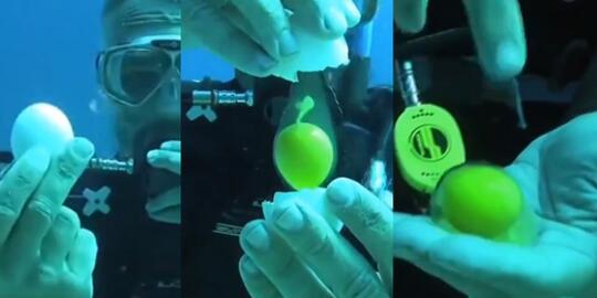 Telur Dipecahkan di Kedalaman Laut, yang Terjadi Menakjubkan