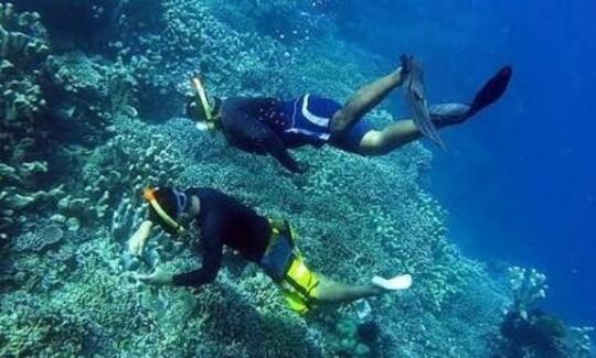 Taman Laut Olele, Keindahan yang Tersembunyi, Anda Sudah Tahu?