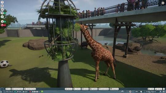 Main Planet Zoo Bikin Lo Ketagihan Loh!!