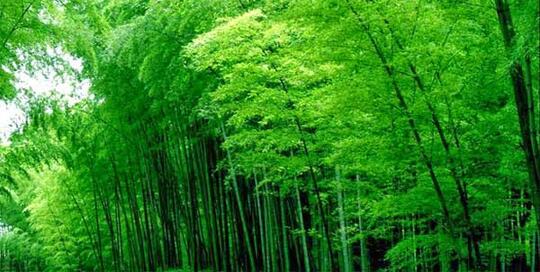 Rekomendasi Pariwisata Menarik di Tiongkok (CHINA)