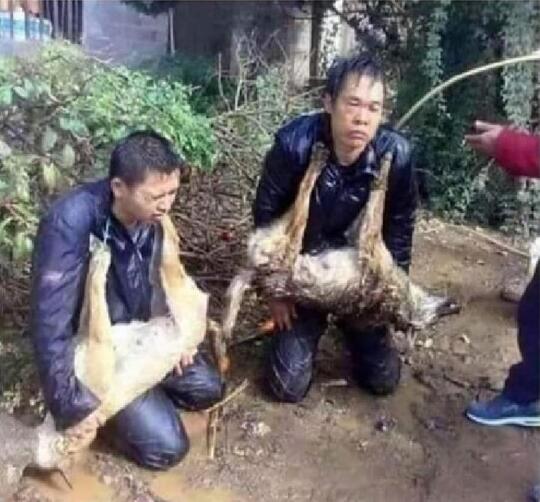 Benarkah Ini Foto-foto Perlakuan Pemerintah Cina di Kamp Muslim Uighur?