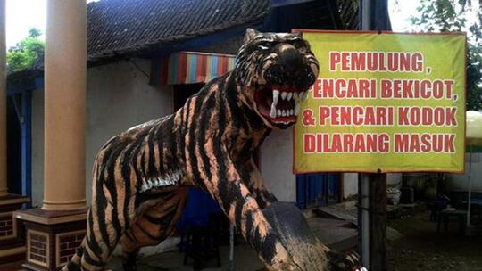 Lawan China Berani Gak? Atau Cuma Macan Ompong yang Mengaum di Media Saja