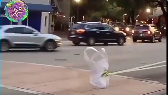 Viral, Kantong Plastik Berjalan Menyebrangi Jalan Raya! Takdir Tuhan atau Kebetulan?
