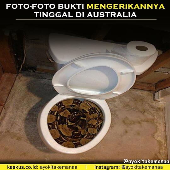 Foto-Foto Ini Menunjukan Betapa Mengerikannya Tinggal Di Australia, Yakin Mau Kesana?