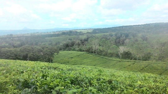 Beberapa Objek Wisata yang Tidak Menguras Kocek. Mau Tahu. Yuk, Lihat di Sini