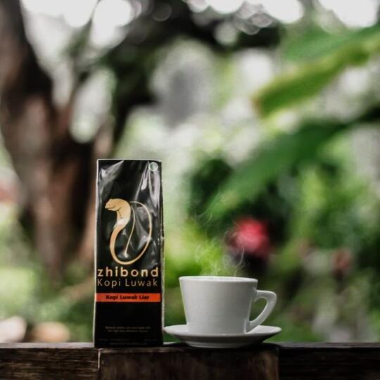 Bagaimana Kopi Luwak Diproduksi Kaskus