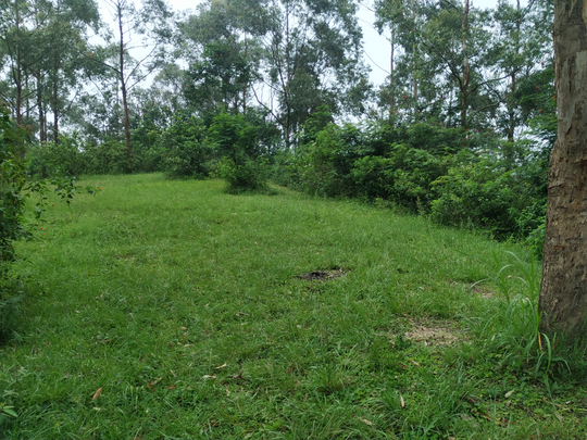 SANTUY MENDAKI GUNUNG DI MUSIM HUJAN - CATPER GUNUNG BURANGRANG 14-15 JANUARI 2020