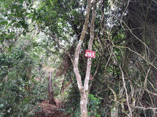 SANTUY MENDAKI GUNUNG DI MUSIM HUJAN - CATPER GUNUNG BURANGRANG 14-15 JANUARI 2020