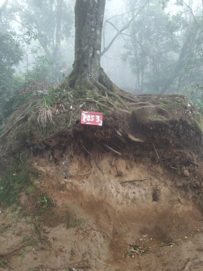 SANTUY MENDAKI GUNUNG DI MUSIM HUJAN - CATPER GUNUNG BURANGRANG 14-15 JANUARI 2020