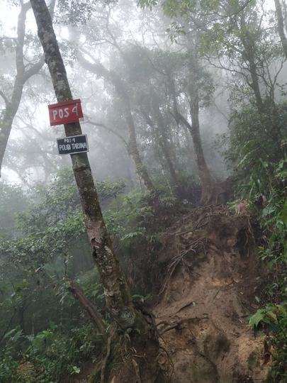 SANTUY MENDAKI GUNUNG DI MUSIM HUJAN - CATPER GUNUNG BURANGRANG 14-15 JANUARI 2020