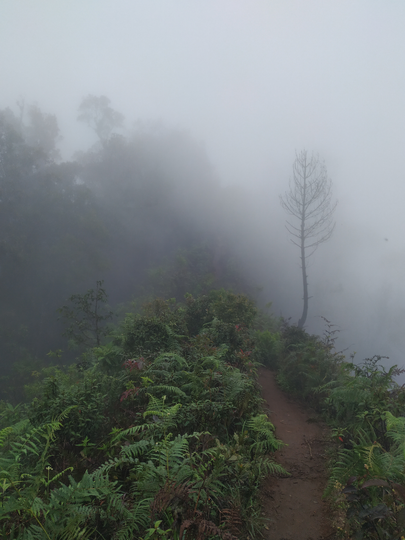 SANTUY MENDAKI GUNUNG DI MUSIM HUJAN - CATPER GUNUNG BURANGRANG 14-15 JANUARI 2020