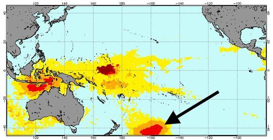 'Gumpalan panas' menewaskan hampir 1 juta burung laut