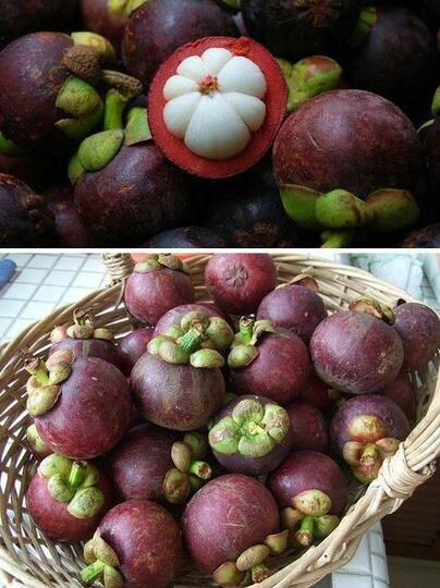 Mengapa Menjadi Pilihan Para Petani di Sinjai?