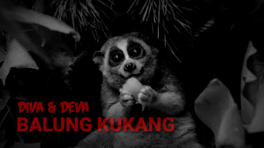 BALUNG KUKANG