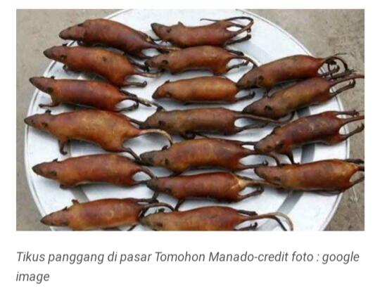 9 Makanan Ekstrem yang Bikin Mikir 2 Kali