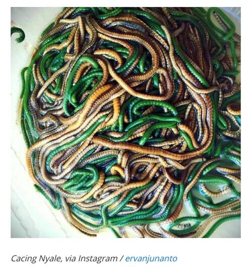9 Makanan Ekstrem yang Bikin Mikir 2 Kali