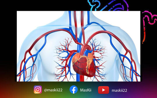 Inilah Fakta Ikan Sori yang Menancap Leher Pelajar SMP