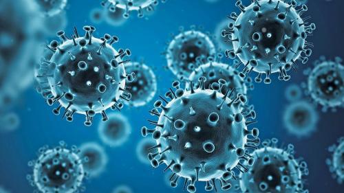 Komisi IX DPR Minta Kemenkes Sosialisasikan Coronavirus ke Masyarakat