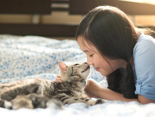 Sayang sama Kucing Peliharaan Tapi Merasa Si Kucing Tak Sayang Kamu? Perhatikan Ini!
