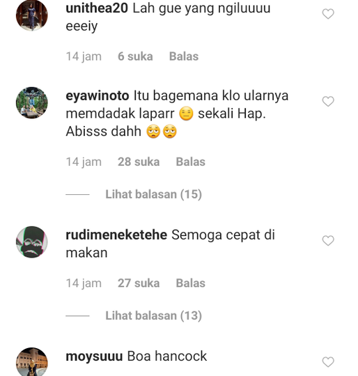 Media Sosial Digegerkan Bayi Bermain Dengan Ular Raksasa, Netijen Histeris Meringis!