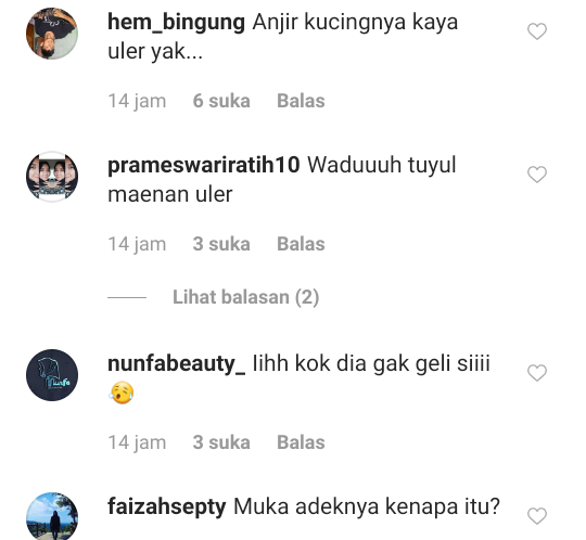 Media Sosial Digegerkan Bayi Bermain Dengan Ular Raksasa, Netijen Histeris Meringis!