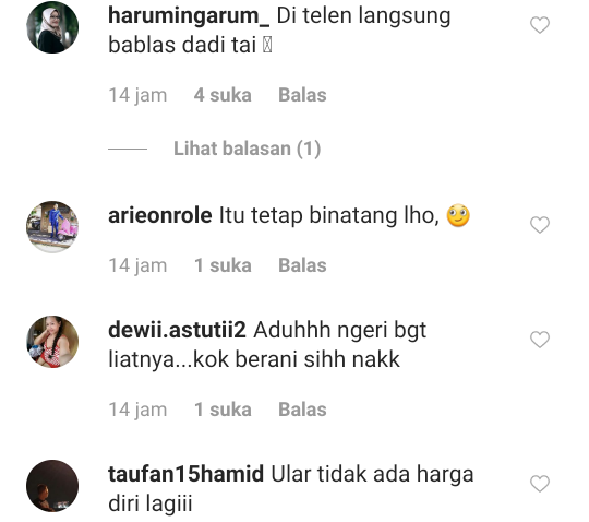 Media Sosial Digegerkan Bayi Bermain Dengan Ular Raksasa, Netijen Histeris Meringis!