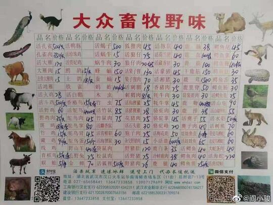 Virus corona dari China: Pemerintah Indonesia tingkatkan kewaspadaan